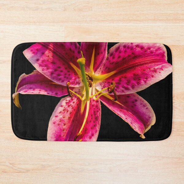 Item preview, Stargazer Lily  Lilium orientalis 'Stargazer' designed and sold by Bryan Spellman.