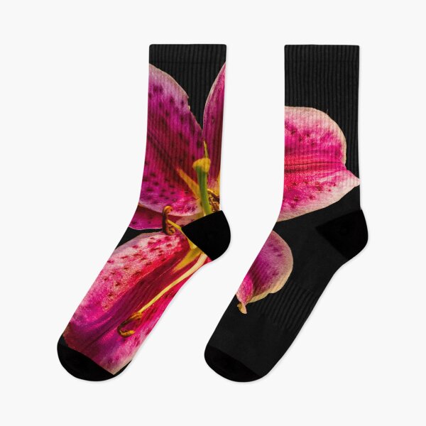 Item preview, Stargazer Lily  Lilium orientalis 'Stargazer' designed and sold by Bryan Spellman.