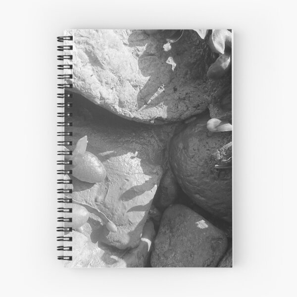 Artikelvorschau, Blasentang Algen und Kieselsteine am Strand entworfen und verkauft von CloneDigitalArt.