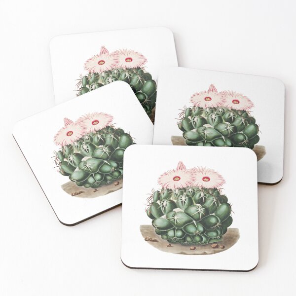 Item preview, Elephant's Tooth Cactus (Mammillaria Elephantidens) from Iconographie descriptive des cactées designed and sold by two peas in a pod.