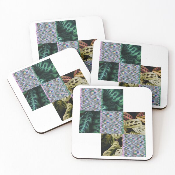 Item preview, Calatheas designed and sold by PolygonPop.