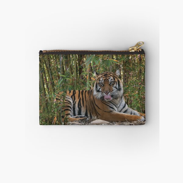 Item preview, Tiger Laps Tongue Lying Among Bamboo designed and sold by KbytesOfJax Outdoor and Nature.