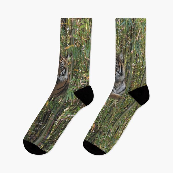 Item preview, Tiger Laps Tongue Lying Among Bamboo designed and sold by KbytesOfJax Outdoor and Nature.