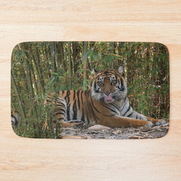 Item preview, Tiger Laps Tongue Lying Among Bamboo designed and sold by KbytesOfJax Outdoor and Nature.