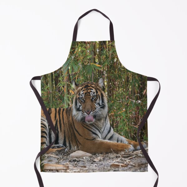 Item preview, Tiger Laps Tongue Lying Among Bamboo designed and sold by KbytesOfJax Outdoor and Nature.