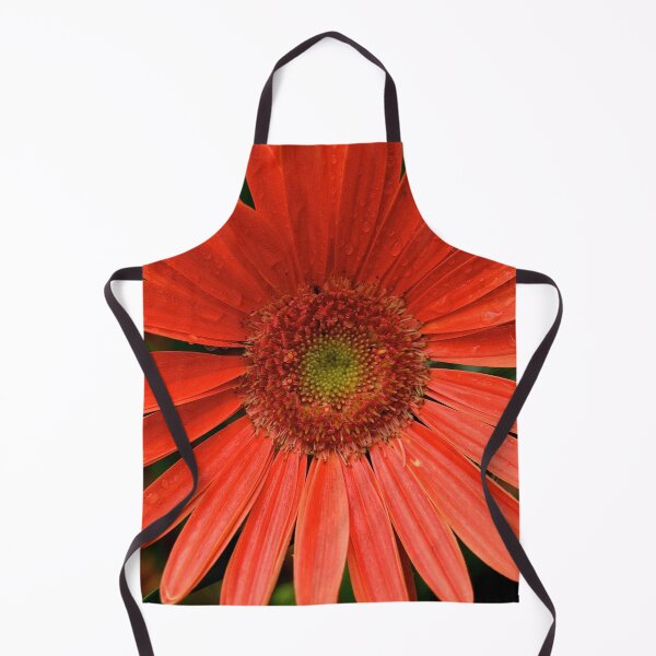 Gerbera Daisy Apron
