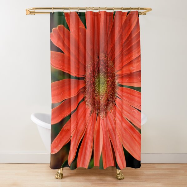 Shower Curtain