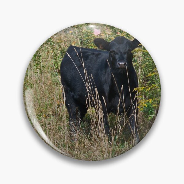 Item preview, Cows 4 designed and sold by Carolyn Clark.