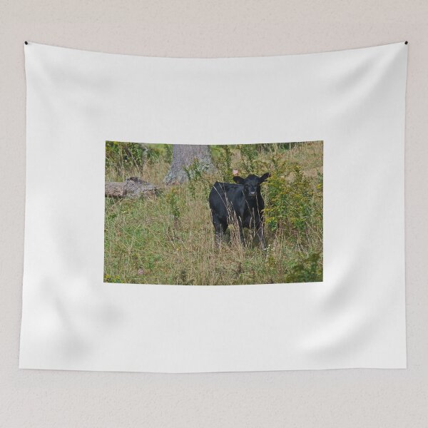 Item preview, Cows 4 designed and sold by Carolyn Clark.