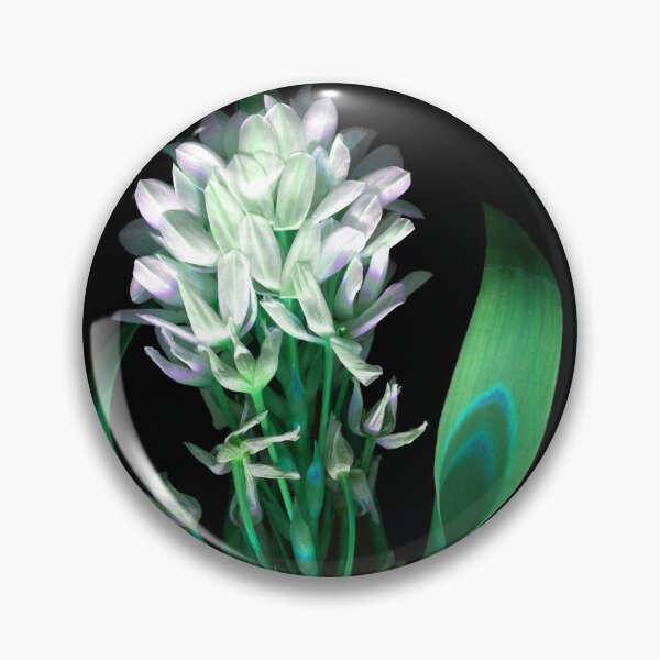 Item preview, Star of Bethlehem 2 Dark Floral designed and sold by LindasPhotoArt.