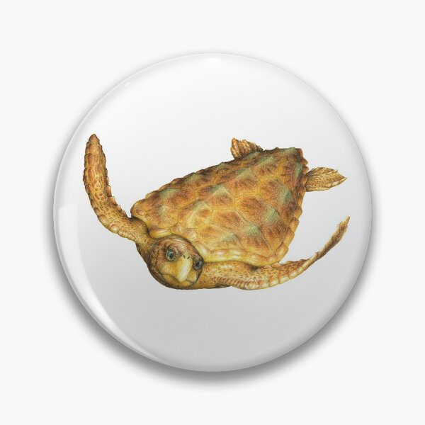 Item preview, Loggerhead designed and sold by JAX-Designs.