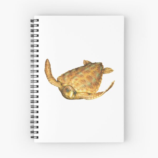 Item preview, Loggerhead designed and sold by JAX-Designs.