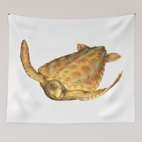Item preview, Loggerhead designed and sold by JAX-Designs.