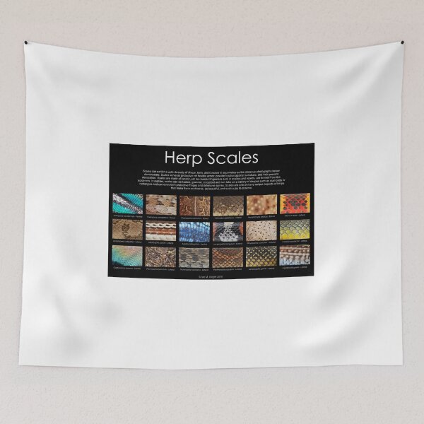Item preview, Herp Scales Poster designed and sold by ianmwright86.