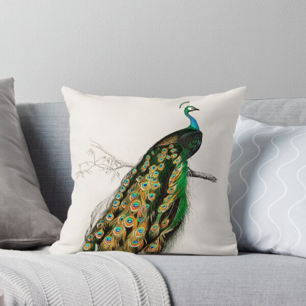 Item preview, Beautiful and colorful Peacock. Indian peafowl illustrated by Charles Dessalines D' Orbigny  designed and sold by janicerafael.