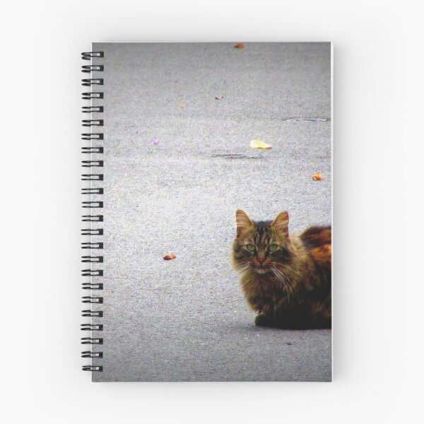 Item preview, Autumn cat .. designed and sold by ART22.
