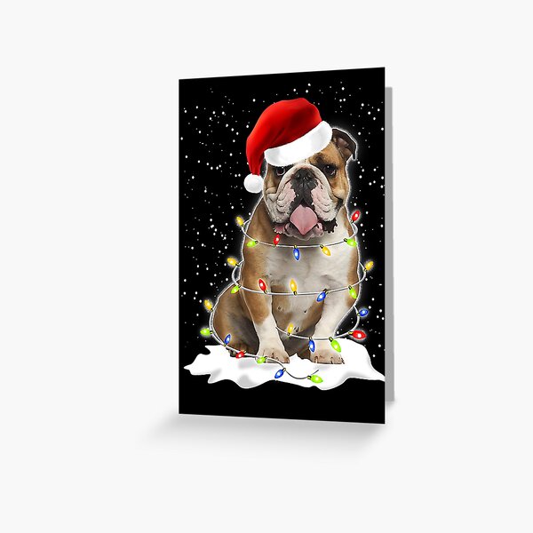 English Bulldog Xmas Greeting Card