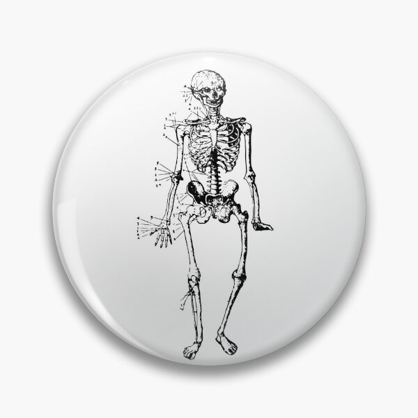 Item preview, Skeletal Diagram - Vintage Anatomy Poster designed and sold by llevine2934.