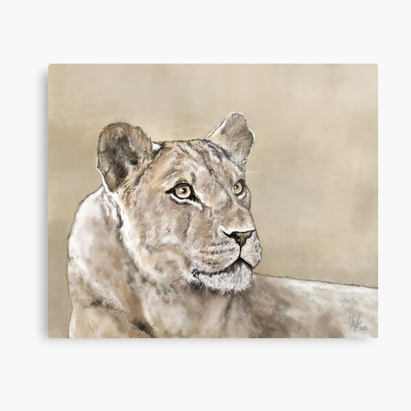 Focused Metal Print