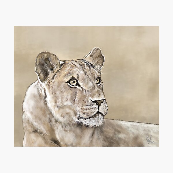 Focused Photographic Print