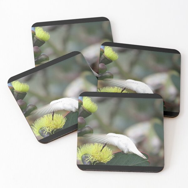 Item preview, White Anna's Humming Bird designed and sold by happynaturalist.