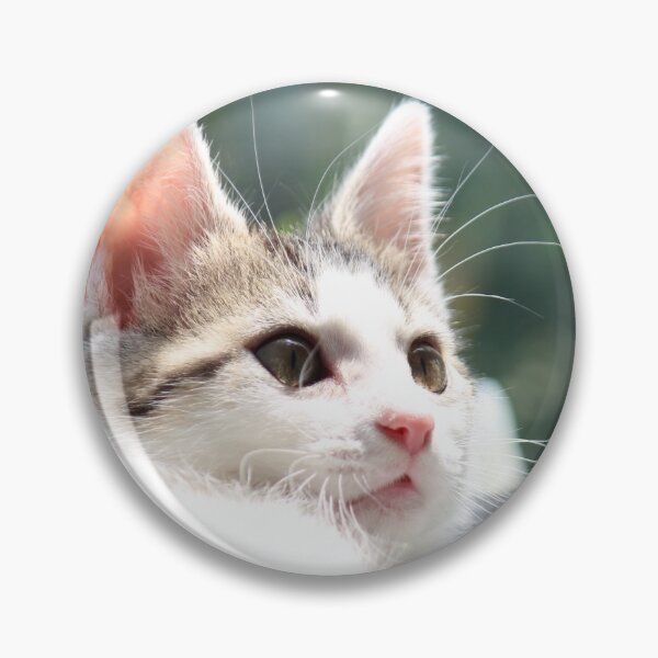Item preview, Kitten sunning in window designed and sold by SeirraLynn.