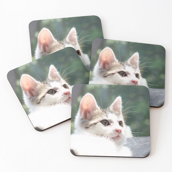 Item preview, Kitten sunning in window designed and sold by SeirraLynn.