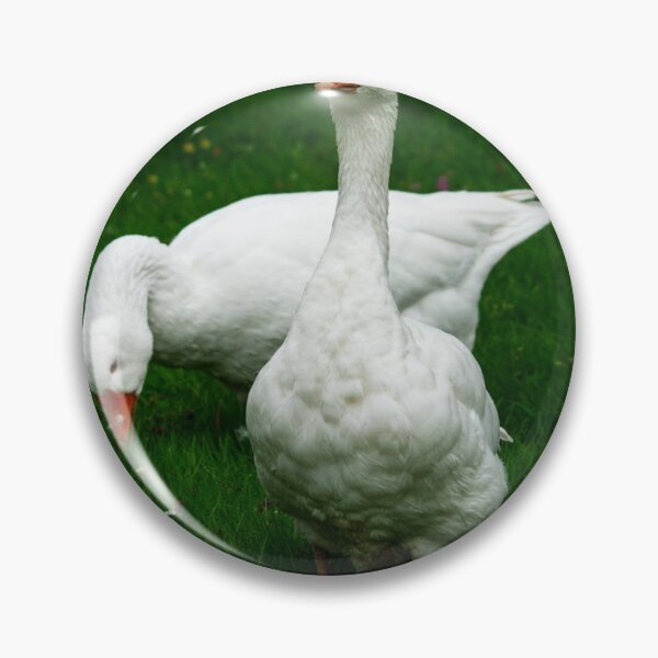 Item preview, Two White Geese designed and sold by GingerMan2550.