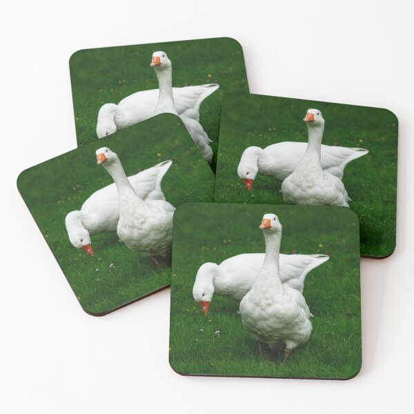 Item preview, Two White Geese designed and sold by GingerMan2550.