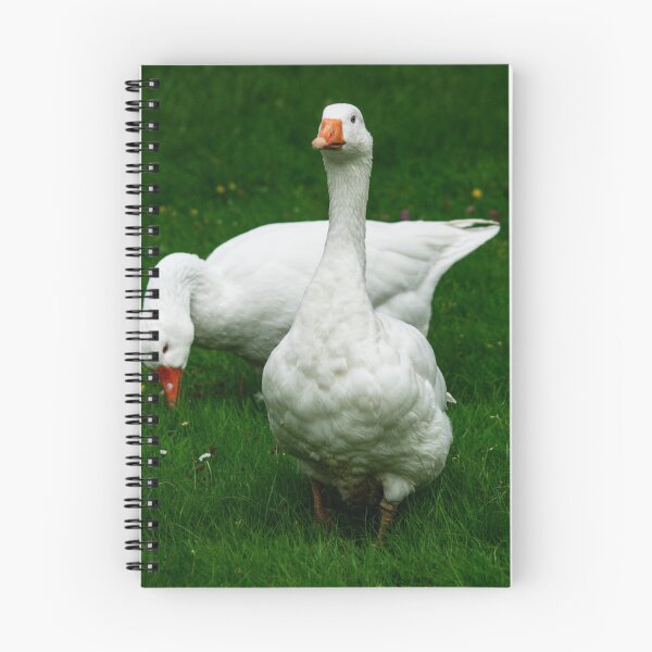Item preview, Two White Geese designed and sold by GingerMan2550.