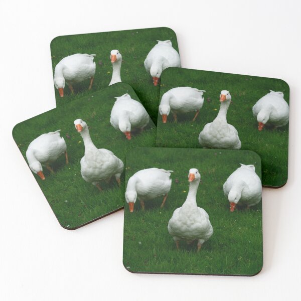 Item preview, Three White Geese designed and sold by GingerMan2550.