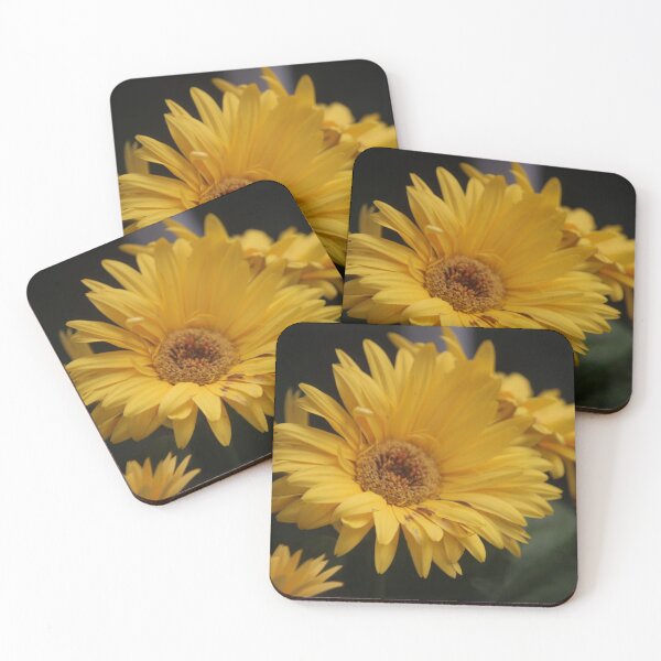 Item preview, Yellow shasta daisy flower designed and sold by SeirraLynn.