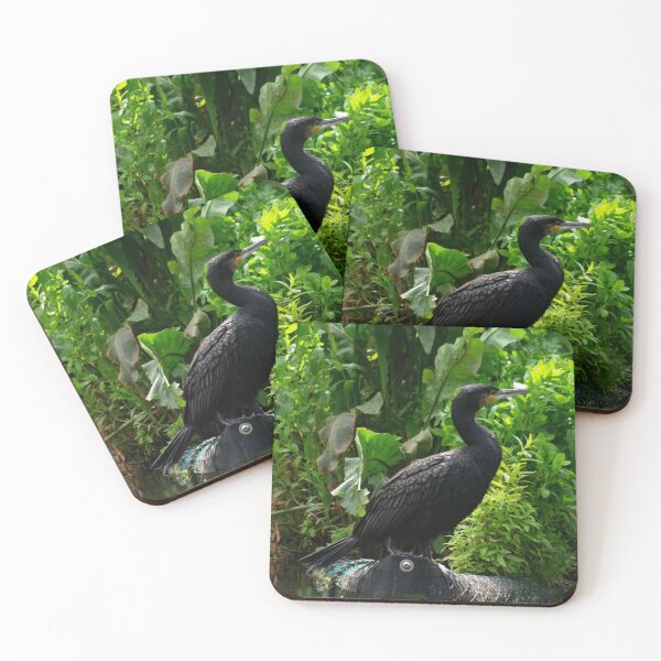 Item preview, Cormorant in Repose designed and sold by GingerMan2550.