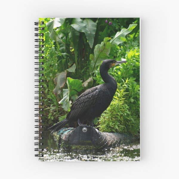 Item preview, Cormorant in Repose designed and sold by GingerMan2550.