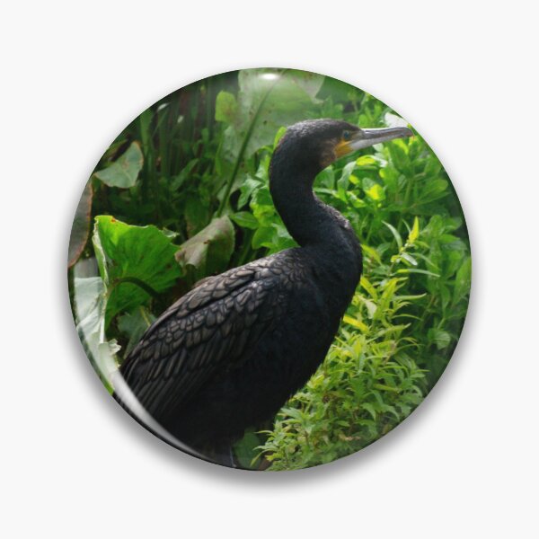 Item preview, Cormorant in Repose designed and sold by GingerMan2550.