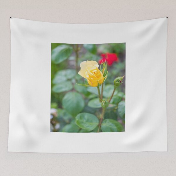 Item preview, Yellow rose growing in the garden designed and sold by yackers1.