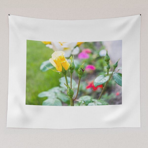 Item preview, Yellow rose growing in the garden designed and sold by yackers1.