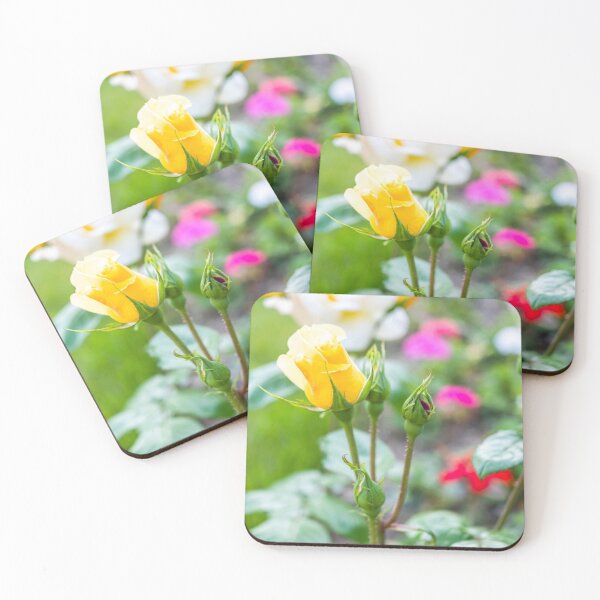 Item preview, Yellow rose growing in the garden designed and sold by yackers1.