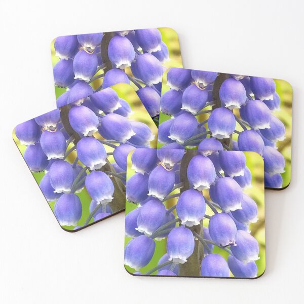 Item preview, Grape Hyacinth flower photo designed and sold by RiisWatersArt.