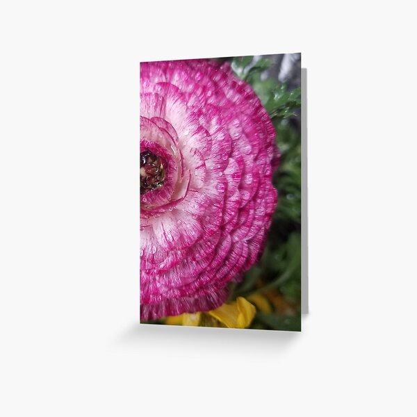 Buttercup flower photo from a midtown NYC street Greeting Card