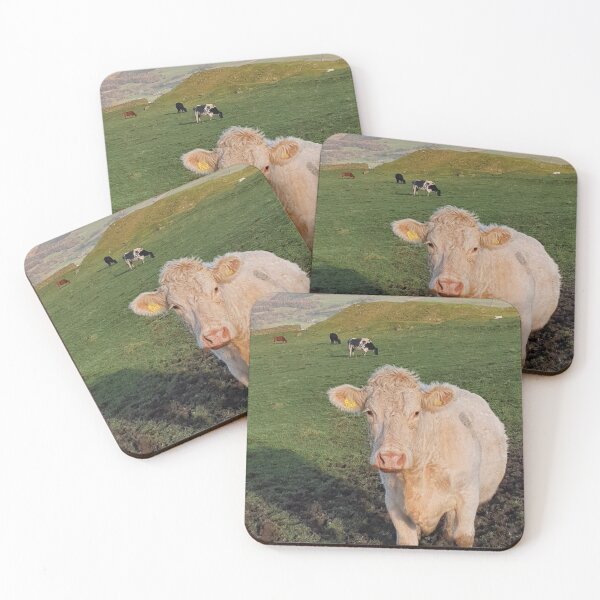 Item preview, Here's to You, Moo designed and sold by Kat Simmons.