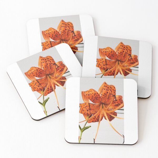Item preview, A Lilly designed and sold by RiisWatersArt.