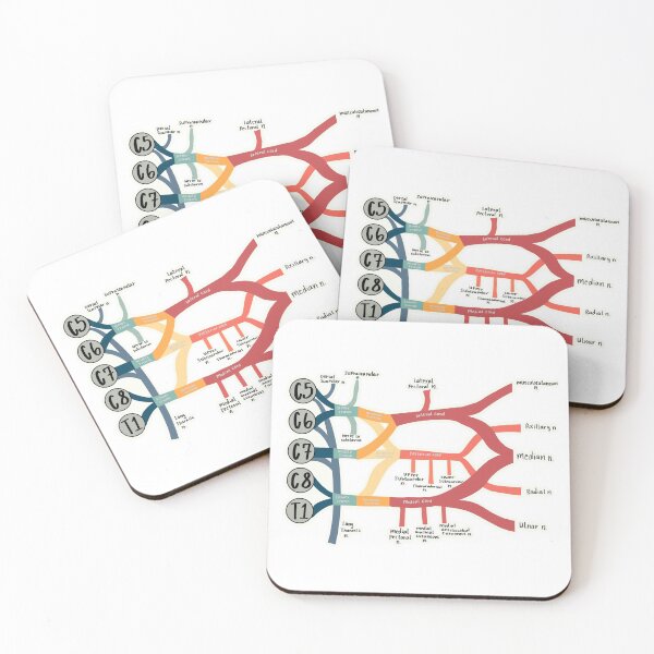 Item preview, Brachial Plexus designed and sold by Lexi Edwards.