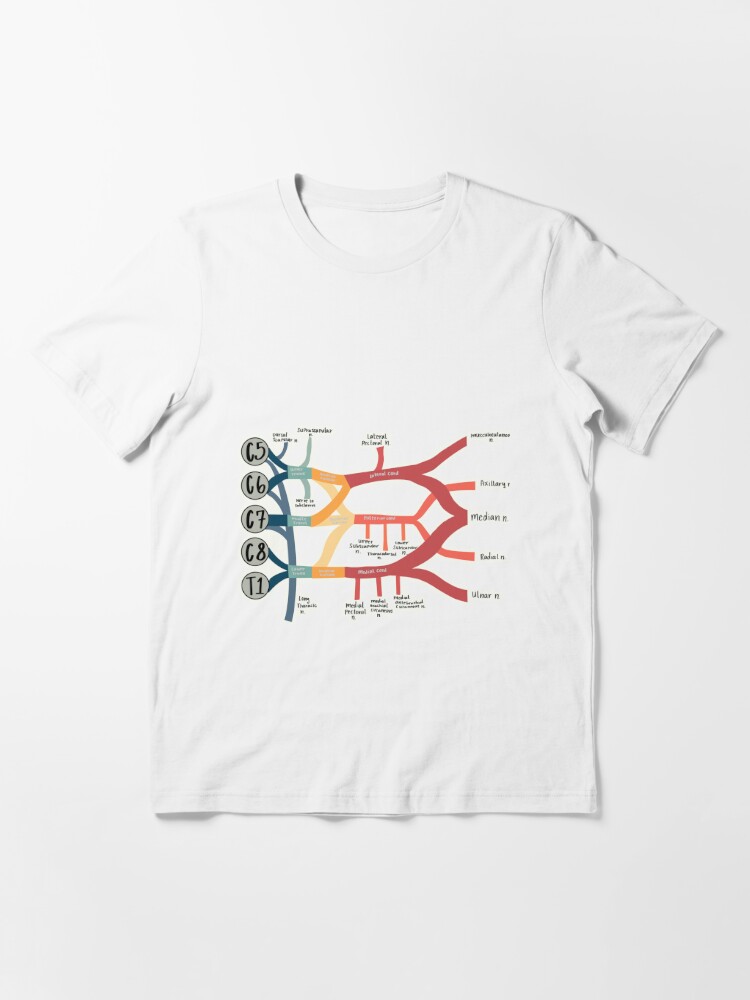 Forræderi fumle minimal Brachial Plexus" T-shirt for Sale by lexijadebb | Redbubble | brachial t- shirts - plexus t-shirts - anatomy t-shirts