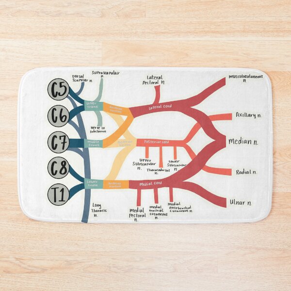 Item preview, Brachial Plexus designed and sold by Lexi Edwards.
