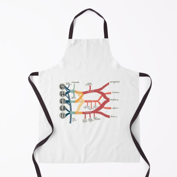 Item preview, Brachial Plexus designed and sold by Lexi Edwards.