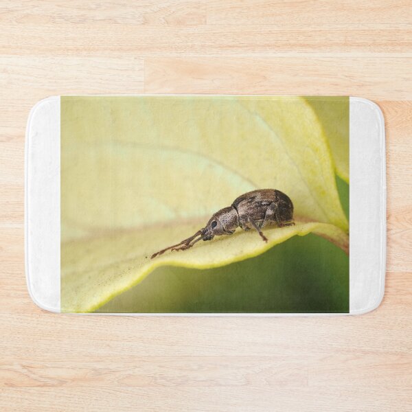 Item preview, Tiny weevil beetle identified as Sciopithes obscurus - Obscure Root Weevil designed and sold by SDym Photography.