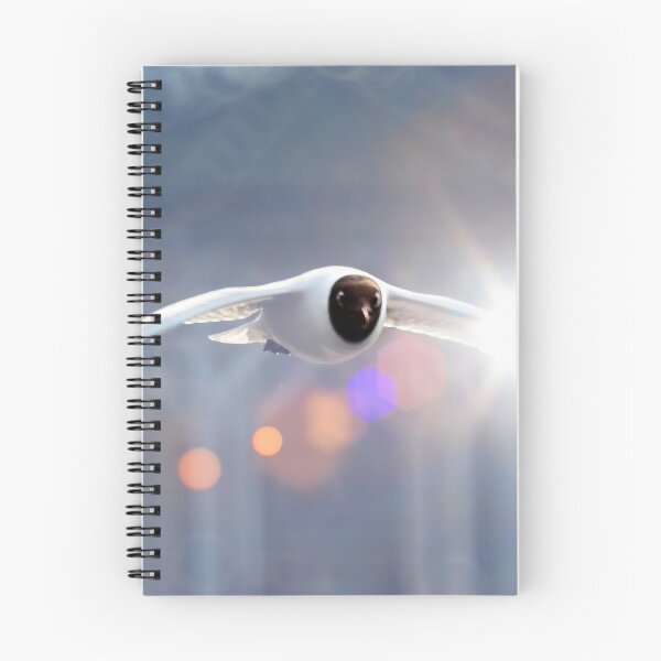 Item preview, Black headed gull with lens flare designed and sold by bokehlein.