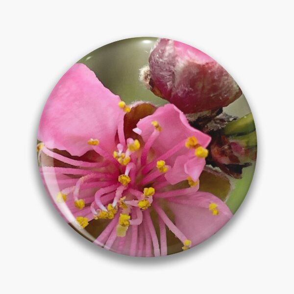 Item preview, Peach Blossom designed and sold by GlowWithAndiO.