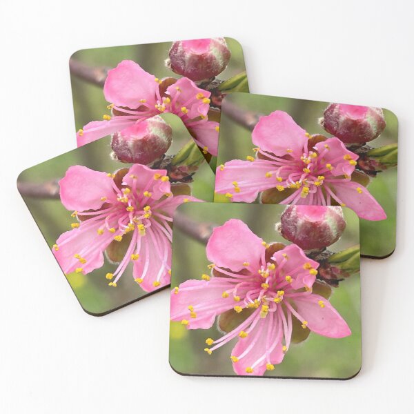 Item preview, Peach Blossom designed and sold by GlowWithAndiO.